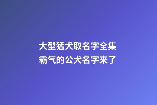 大型猛犬取名字全集 霸气的公犬名字来了